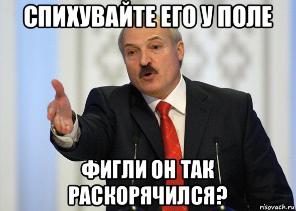 спихувайте его у поле фигли он так раскорячился?, Мем лукашенко