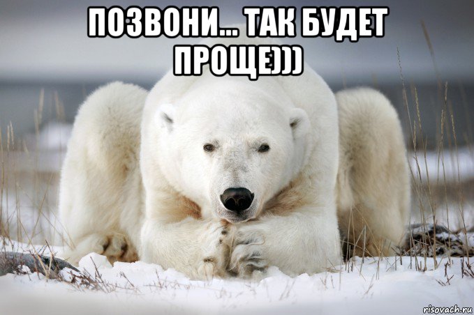 позвони... так будет проще))) , Мем Мишка