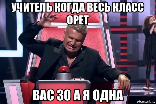 учитель когда весь класс орет вас 30 а я одна