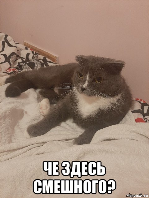  че здесь смешного?