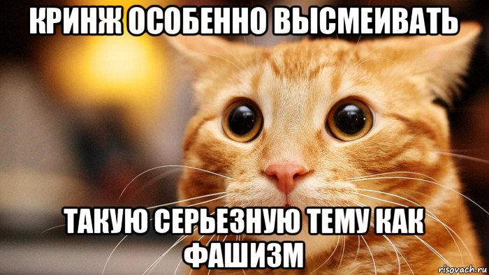 кринж особенно высмеивать такую серьезную тему как фашизм