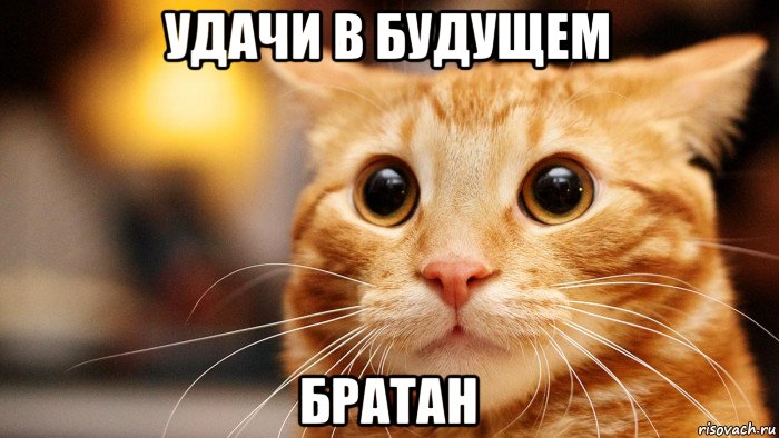 удачи в будущем братан