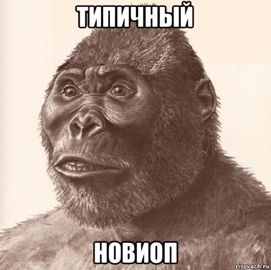 типичный новиоп, Мем Приматопитек