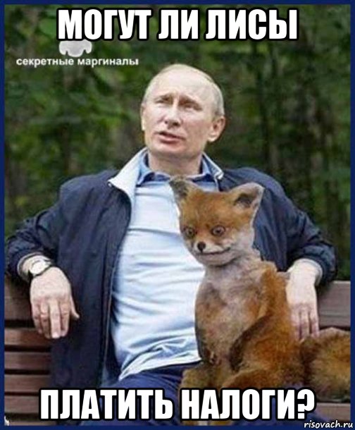 могут ли лисы платить налоги?, Мем Путин и лиса