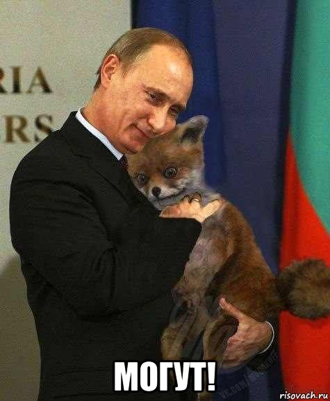  могут!, Мем Путин и лиса