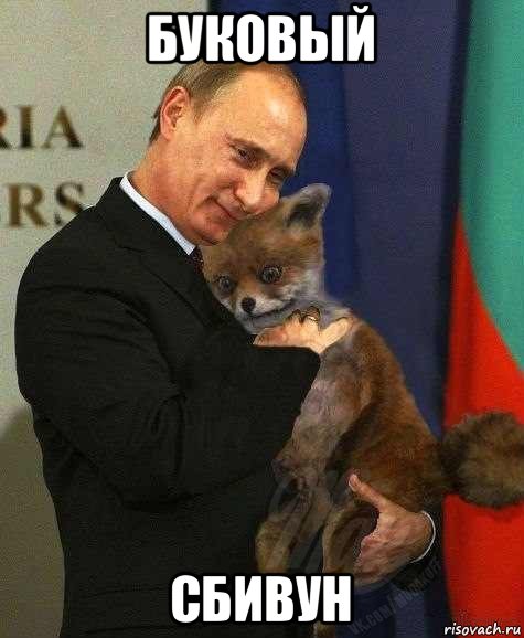 буковый сбивун, Мем Путин и лиса