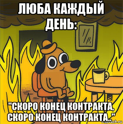 люба каждый день: "скоро конец контракта, скоро конец контракта..", Мем Собака в огне