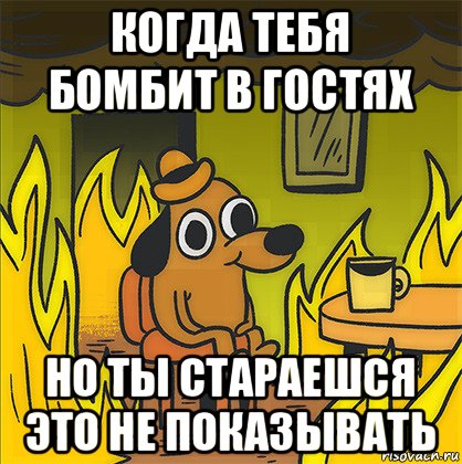 когда тебя бомбит в гостях но ты стараешся это не показывать, Мем Собака в огне