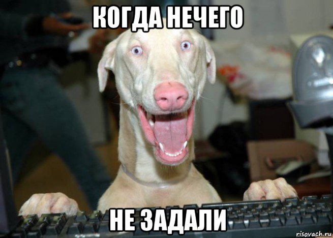 когда нечего не задали
