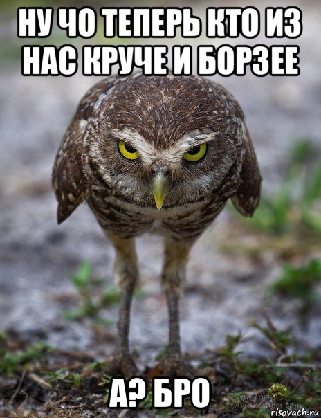 ну чо теперь кто из нас круче и борзее а? бро