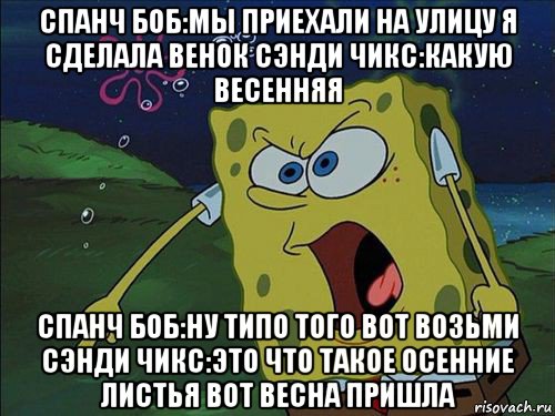 спанч боб:мы приехали на улицу я сделала венок сэнди чикс:какую весенняя спанч боб:ну типо того вот возьми сэнди чикс:это что такое осенние листья вот весна пришла, Мем Спанч боб