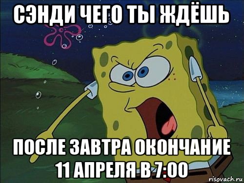 сэнди чего ты ждёшь после завтра окончание 11 апреля в 7:00, Мем Спанч боб