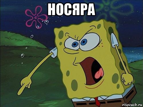 носяра , Мем Спанч боб