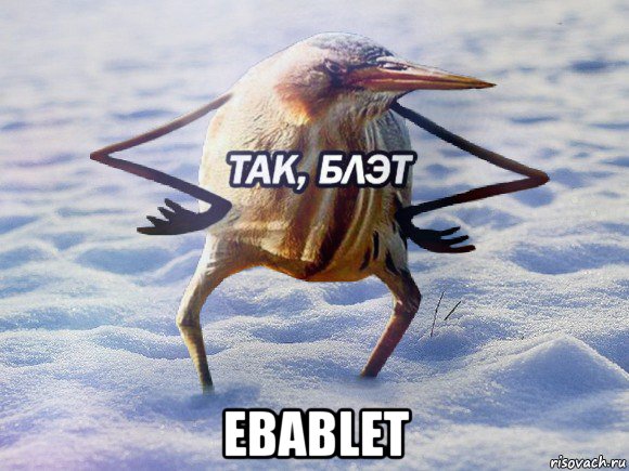  ebablet, Мем  Так блэт птица с руками