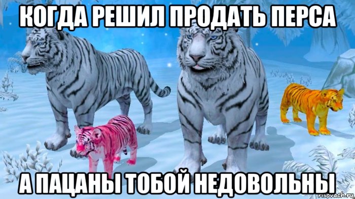 когда решил продать перса а пацаны тобой недовольны, Мем Тигры