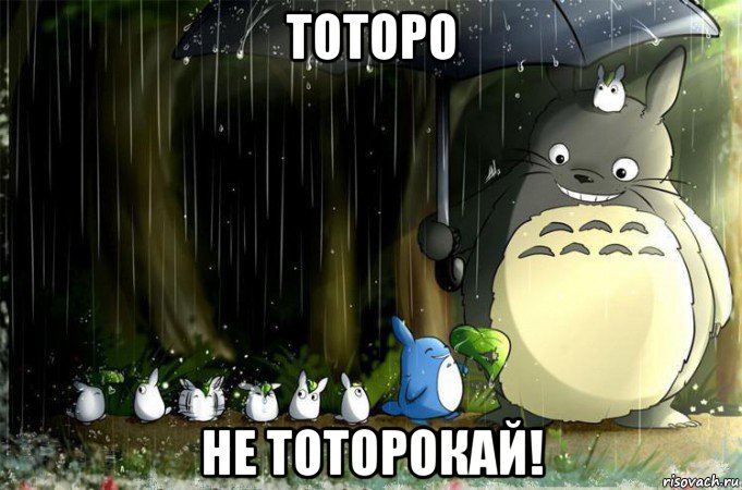 тоторо не тоторокай!