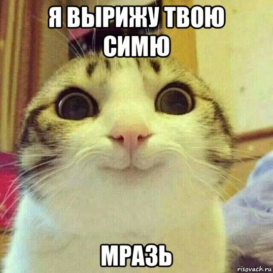 я вырижу твою симю мразь