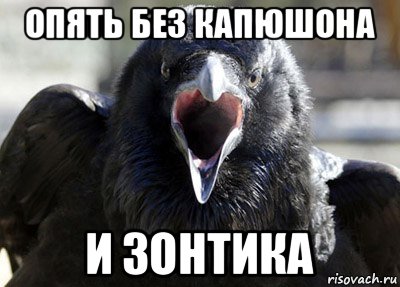 опять без капюшона и зонтика