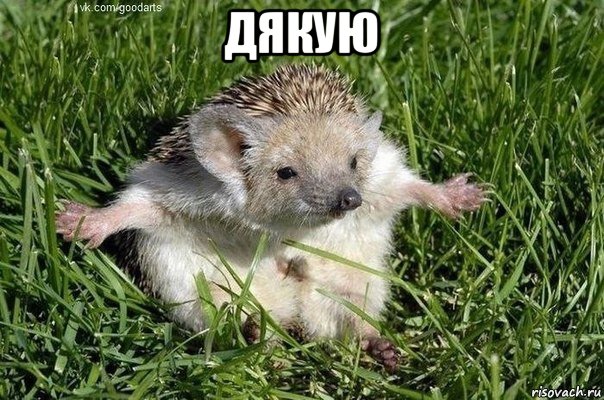 дякую 