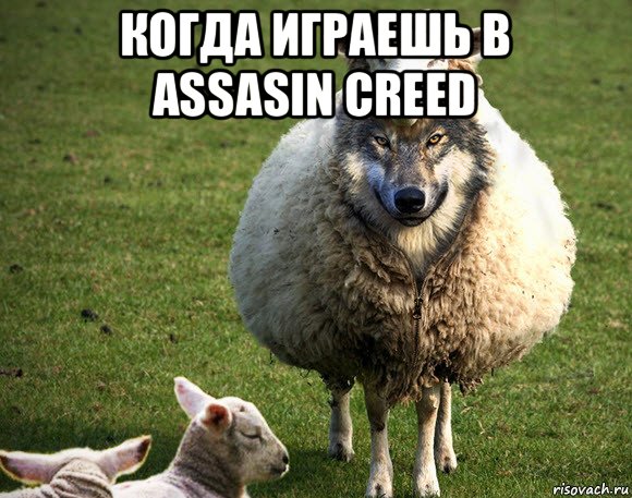 когда играешь в assasin creed , Мем Злая Овца