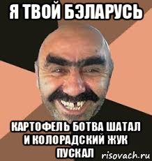 я твой бэларусь картофель ботва шатал и колорадский жук пускал
