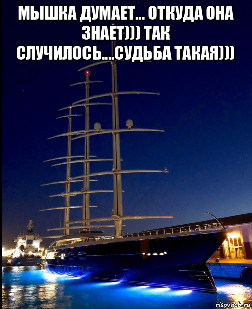 мышка думает... откуда она знает))) так случилось....судьба такая))) , Мем Black Pearl - Night