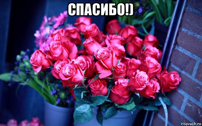 спасибо!) 