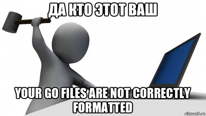 да кто этот ваш your go files are not correctly formatted, Мем ДА КТО такой