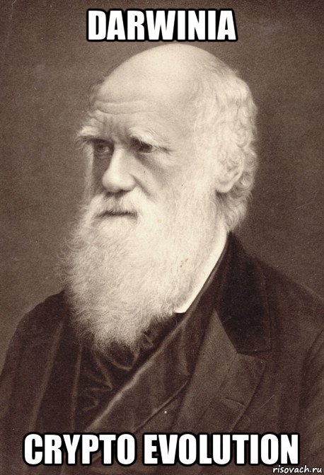 darwinia crypto evolution