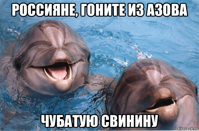 россияне, гоните из азова чубатую свинину