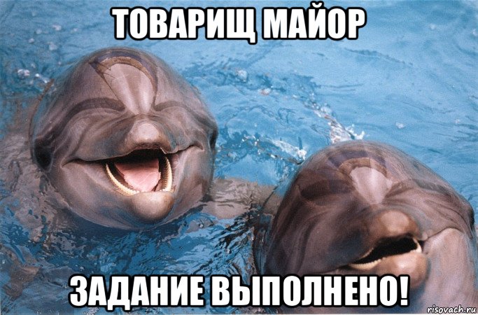товарищ майор задание выполнено!