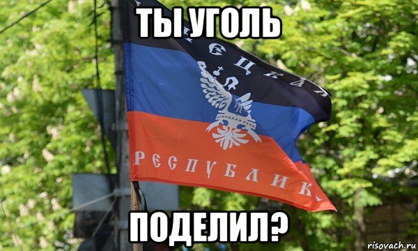 ты уголь поделил?