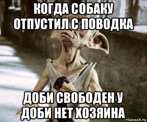 когда собаку отпустил с поводка доби свободен у доби нет хозяина, Мем добби