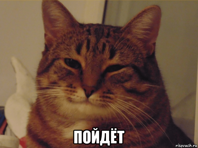  пойдёт