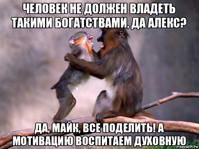 человек не должен владеть такими богатствами, да алекс? да, майк, все поделить! а мотивацию воспитаем духовную, Мем Две обезьяны