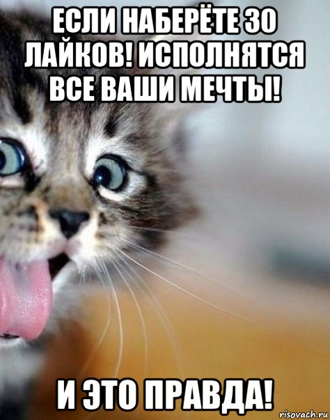 если наберёте 30 лайков! исполнятся все ваши мечты! и это правда!