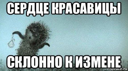 сердце красавицы склонно к измене, Мем Ежик