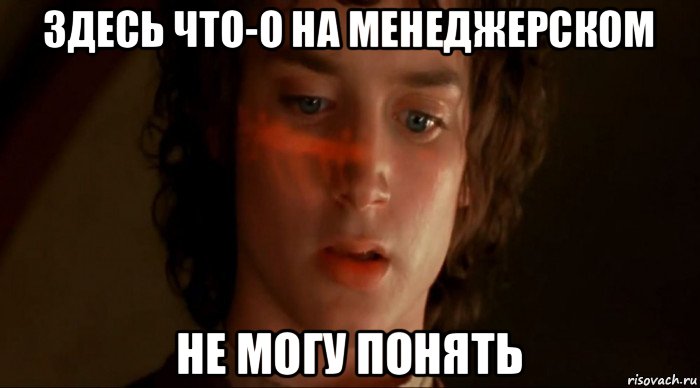 здесь что-о на менеджерском не могу понять, Мем Фродо