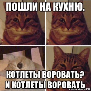пошли на кухню. котлеты воровать? и котлеты воровать