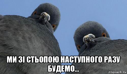  ми зі стьопою наступного разу будемо...