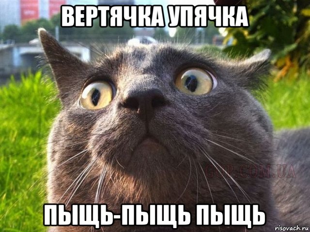 вертячка упячка пыщь-пыщь пыщь
