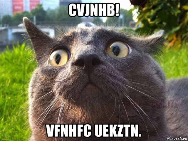cvjnhb! vfnhfc uekztn.
