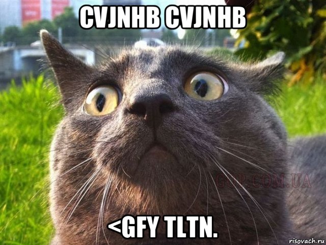 cvjnhb cvjnhb <gfy tltn.