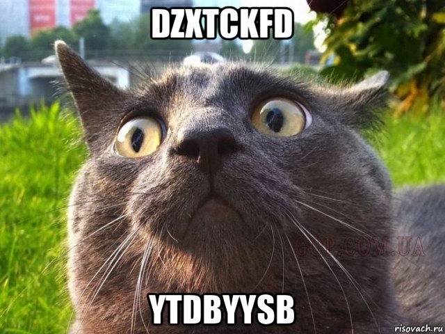 dzxtckfd ytdbyysb
