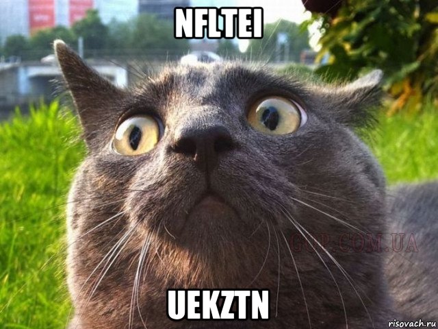 nfltei uekztn