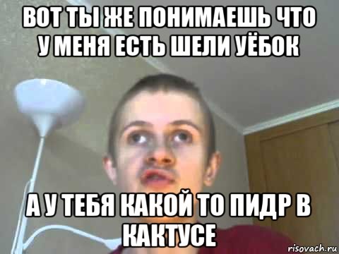 вот ты же понимаешь что у меня есть шели уёбок а у тебя какой то пидр в кактусе