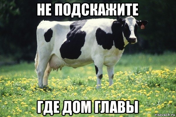 не подскажите где дом главы