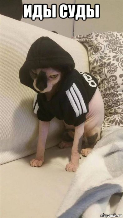 иды суды 