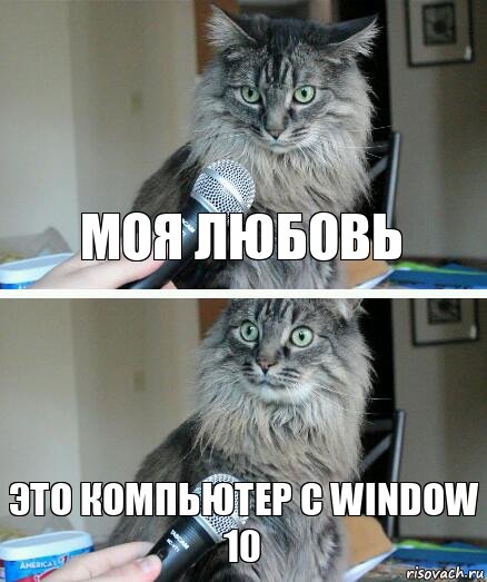 Моя любовь Это компьютер с window 10, Комикс  кот с микрофоном