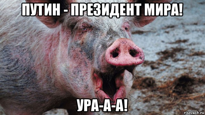 путин - президент мира! ура-а-а!, Мем Крым наш
